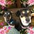 Carol Barth's profile image