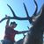 Zack Baldwin's profile image