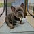 Cindy Koster's profile image