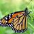 Maria Embrey's profile image