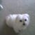 Carolyn Hamilton's profile image