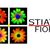 Nadia Stiatti's profile image