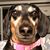 Jill Dawn Hartzell's profile image