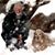 Gregg Howe's profile image