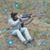 Chrystal Gatlin Rafferty's profile image