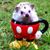 Coleen Mikuls's profile image