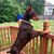 Joey Heather Peroutka's profile image