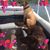 Nancy Lewallen's profile image