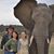 Robert Rapson's profile image