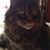 Ashlee Byrd Burnett's profile image