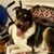 Eileen Avner-moore's profile image