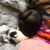 Glory Bea's profile image