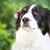 Fosters Slater-Sliwinski's profile image