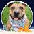 Connie Murray's profile image