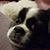 Linda Despeaux's profile image