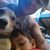 Liana Archuleta's profile image