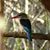 Margie Brazelton's profile image