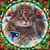 Kathy Ernest's profile image