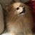 Wanda Naumann's profile image