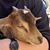 Jenny Leigh's profile image