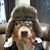 Ken White's profile image