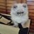 Tammy Bendel-Calvin's profile image