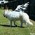 Michelle Horne Revelle's profile image