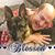 Dave Jackobowitz's profile image