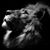 Ian Niemi's profile image