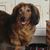 Sue Mitchell's profile image