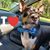 Carla Gipson's profile image