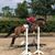 Maureen Kleinbeck Detweiler's profile image