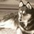 Terri Dunn Skidmore's profile image
