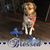 Lalic Lilly's profile image