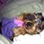 Arionna Rae's profile image