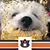 Rick Johnson's profile image