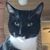 Rita Lawrence's profile image