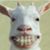 Dune Finkleberry's profile image