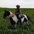 Cynthia Yeomans Rotondo's profile image