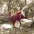 Ronda Hemminger Evan's profile image