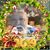 John Craighead's profile image