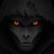 Michael James's profile image