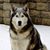 Stacey Romanowski Leary's profile image