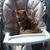 Nyla Mendenhall Dunning's profile image