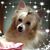 Brenda Carlson's profile image