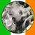 Annalize Horn's profile image