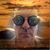 Bruce Bock's profile image