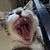 John Fanaris's profile image