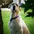 Doug Vogt's profile image