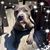 Rebecca Milteer Shelton's profile image